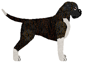 Rosa Himmel vom DeeOhGee — “Freya”