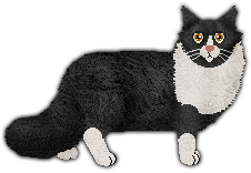 Conformation Champion: Belleteyn Black Velvet