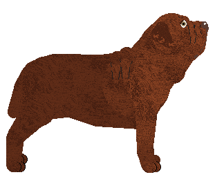 Blizzard Anema e core — “Mafalda”