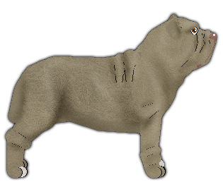 Profile image of Blizzard Era de maggio