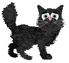 Rattlesnake’s Queen of Hearts — “Mandy”