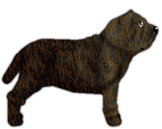 Profile image of Blizzard Dicitencello vuje