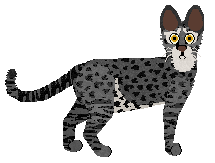 Blizzard Child of the Night — “Irina”