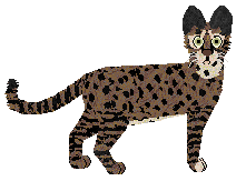 Amethyst Pure Wildness — “Pure”