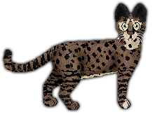 Profile image of Amethyst Pure Wildness