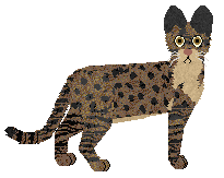 Blizzard Elder Tree — “Termit”