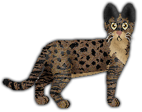 Profile image of Blizzard Elder Tree