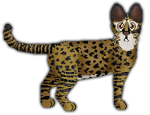 Profile image of Blizzard Fearless Traveler