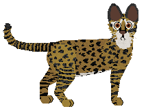 Blizzard Fearless Traveler — “Osman”