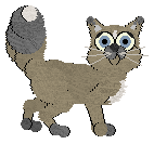 Bec/Rattlensake’s Seek Ye First — “Trazim”