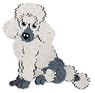 Profile image of Cargo's Like a Picture Print