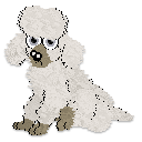 Profile image of Cargo's Drunk on Her Presence