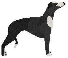 Cansas' Last Request — “Willow”