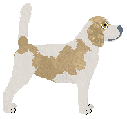 Profile image of Pemberley Lucky Ones