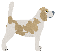 Pemberley Lucky Ones — “Toby”