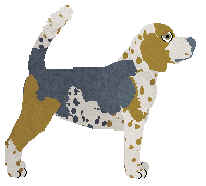 Cava HE LOOKS SO PERFECT — “Majlo”