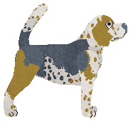 Profile image of Cava HE LOOKS SO PERFECT