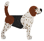 Profile image of Cansas' This Is the Age