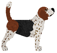 Cansas' This Is the Age — “Pippi”