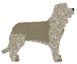 Cansas' I Want It Now! — “Silva”