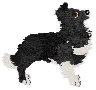 Cansas' Zero Gravity — “Szop”