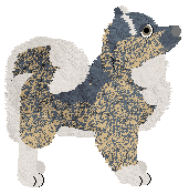 Cansas' Casual Sabotage — “Erkki”