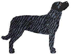 Cansas' Under the Weather — “Millie”