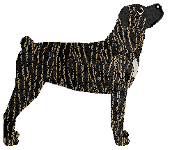 Cansas' Parallel World — “Pavlov”