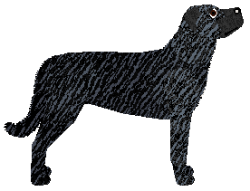 Cansas' Dies Irae — “Azul”