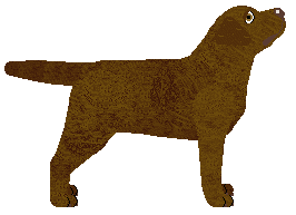 Geriatrix Lonely Boy — “Solo”