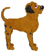 Prawny's Y2K Survivor — “Norma”