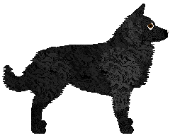 Cansas' Rebel With A Cause — “Derek”