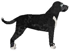 Dragosani Master of Disguise — “Ingvar”