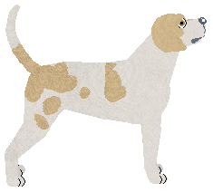 Dragosani Colors of the Wind — “Lua”