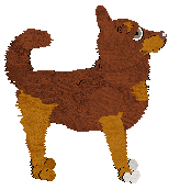 BFK's Wastin' All My Time — “Gloria”