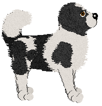 Cargo's Winding Trail at BFK — “Cabot”