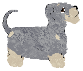 Aura's Citrullus Lanatus — “Watermelon”