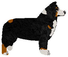 Paradigm Fairy Ointment — “Sanguine”