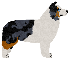 Paradigm Nettle Spinner — “Marten”