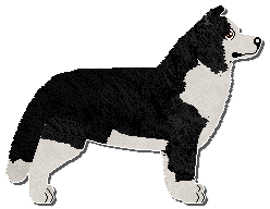 Profile image of Paradigm Three May Peaches