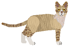 Airship Have A Look At The Syrup — “Tiggy”