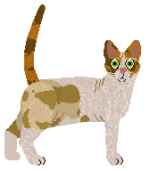 Airship Very Provocative Garment — “Zippy”