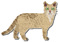 Profile image of Airship Wax And Wane