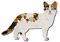 Profile image of Airship Oil Of Angels