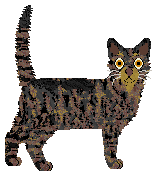 Airship Squeeze Wax — “Noodle”