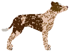 Dragosani SKRZYPIĄ DRZWI PIECZARY — “Pieczarka”