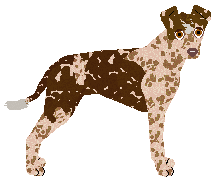 Profile image of Dragosani SKRZYPIĄ DRZWI PIECZARY