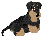 Profile image of Vanilla's Language of Love