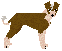 Profile image of Converse CALIFORNIA