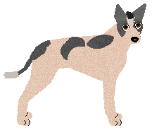 Profile image of Converse COMFORTABLY NUMB